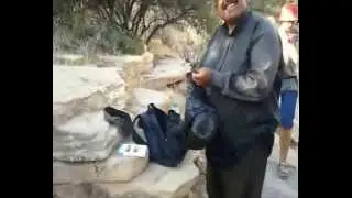 wadi dana laurazja