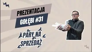 Prezentacja gołębi #31 - Bogdan Nieradka - Pary rozpłodowe
