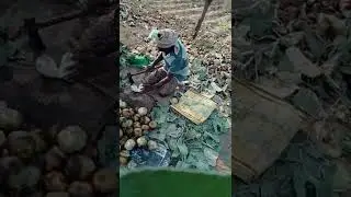 road side me tal fruit bech te hue kuch log...