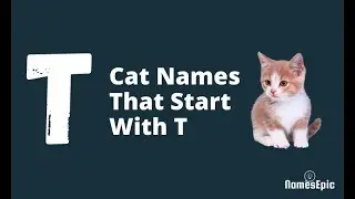 20 Best Cat Names That Start With T | Male and Female Cat Names