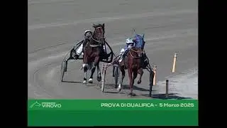 PROVA DI QUALIFICA 5 MARZO - Greghi N'Bigi - Glamour Run - Ginevra Light
