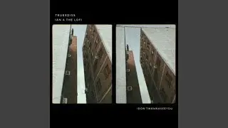 idon'twannaseeyou (feat. IAN & THE LOFI)
