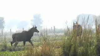 Big Blue Bull How To Lead The Others ? #techearth,