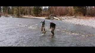Bitterroot Fly Fishing