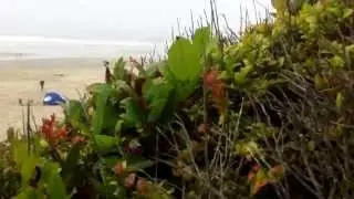 Best campsites ever: tillicum