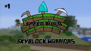 Speed Build: Skyblock Warriors