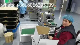 Cutlery Sets Flow Pack Machine Plastic Cutlery Packing Machine Airline Cutlery Packing Machine