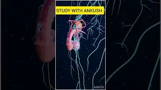 study with 3d animation #study #viral