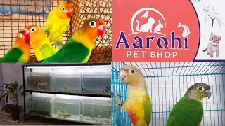 Ek Pet lover बन गया Pet Shop Owner | Aarohi Pet Shop, Bareja Near Ahmedabad, Gujarat