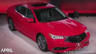 BC Live Productions - Highlights 2017