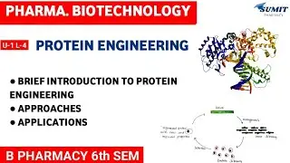 Brief Introduction to Protein Engineering, Approaches & Applications | Unit-1 Biotechnology