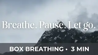 3 Minute Box Breathing (No Voice) | Calm Your Mind & Reduce Stress