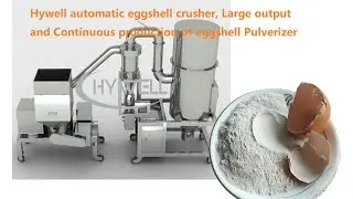 Hywell automatic eggshell crusher,  Large output, and Continuous production of eggshell Pulverizer
