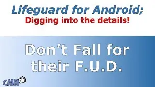 Lifeguard: Digging into the Details