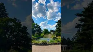 Beauty of God&rsquo;s Creation #beauty #trees #garden #netflix #mn #travel #water #love #music #london