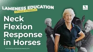 Neck Flexion Response in Horses: Spotting Abnormal Pain Reactions