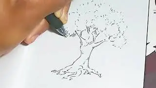 How to draw an oak tree Pen and ink tutorials