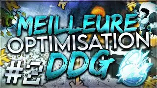 LA MEILLEURE OPTIMISATION DU DDG ! #2