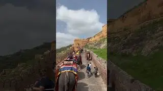 Amer Fort, Jaipur ✨🕊️🦚