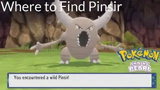 Pokemon Shining Pearl - Where to Find Pinsir
