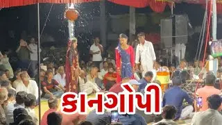 Gokran night mela kangopi #mela #gujrat #bhajan #pogram #luckystudiolife #night