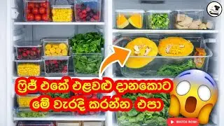 ෆ්&zwj;රිජ් එකේ එළවළු මාසයක් යනකම් අලුත්පිට තියාගමු.😯|Fridge Organizations ideas sinhala 🤩|saku foods 