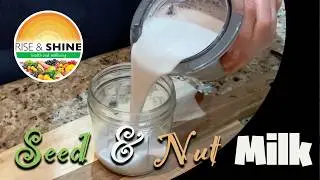 Seed and Nut Milk