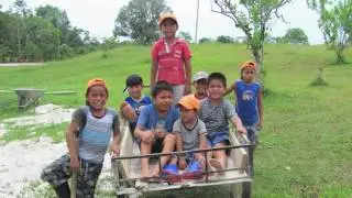 P4A 2016 Video
