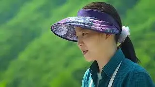 Genie, make a wish (2025) | kdrama full explained in hindi