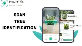 How To Scan Tree Identification On PictureThis App