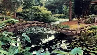 Tatton Park Gardens! Chesire Cinematics 4k 60fps