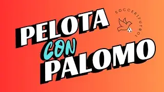 Pelota con Palomo! US Soccer, MLS, and much more!