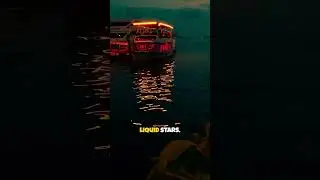 The Mysterious River in the Philippines That Glows at Night #mysteriousplaces #philippines