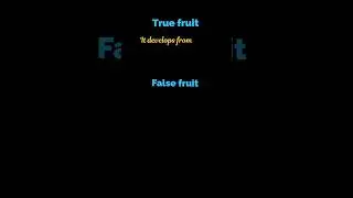 What is true and false fruit #fruit #biology #botany