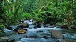 Refreshing Water Ambience For Cognitive Reset