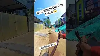 Super Fast Express Dog Catch Village@StreetDogRevival11 #dog #streetdogrevival #ytshortsindia
