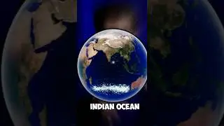 Destination of Ocean Plastic! 😱#shorts #facts #ocean