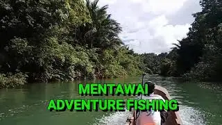 Mentawai BLACK BASS & SPOTTAIL BASS, West Sumatera - Indonesia