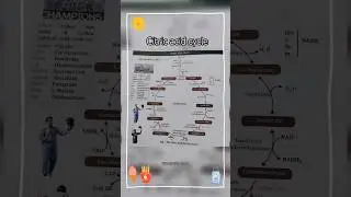citric acid cycle!! biochemistry!!pharmacy!!#@AnjaliGupta-x8e