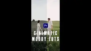 Couple in Love | Romantic | Cinematic Video Cinematic luts Color Grading I WHOMADETHISDESIGN #SHOETS