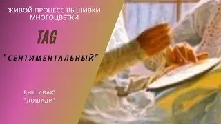 #TAG 