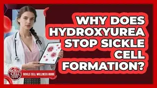 Why Does Hydroxyurea Stop Sickle Cell Formation?