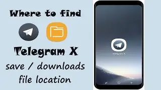 2 Easy Ways to Access Telegram X Files