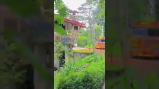 #කව්ද එයා කියන්න බලන්න 😘&hearts;️🙊 #buspicco #busviral#busvideo #srilankatiktok#bus#trendingshorts#buslover