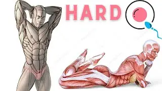 How Can You Increase Your Penis Size The Natural Way : Herbal Penis Enlargement