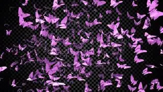 Pink Butterflies Overlay | Stock Motion Graphics - Motion Array