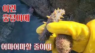 이런 웅덩이에 어마어마할 줄이야