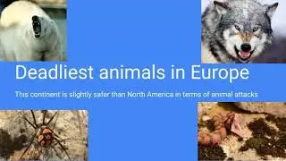 Top 30 deadliest animals in Europe