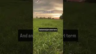 Update #3: Non-Selective vs Selectively Grazed Recovery!