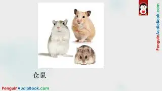 Aprenda os Animais em Chin&ecirc;s 👗 | Dicion&aacute;rio Visual Mandarim-Portugu&ecirc;s